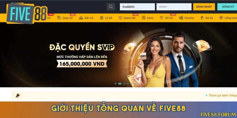 Nhà cái cá cược thể thao lâu đời uy tín nhất Việt Nam